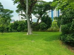 Nassim Road (D10), Detached #468537431